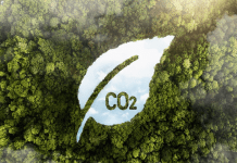 El turismo global bate récord y reduce la huella de carbono Turismo